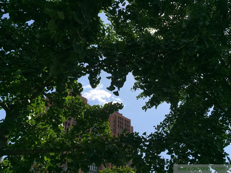 無邊框的 nubia Z9 ，一款既有驚喜，又有驚艷的智能手機(jī)