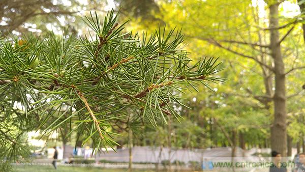 業界良心 LG V10 評測:剛毅、冷峻，不失人性化