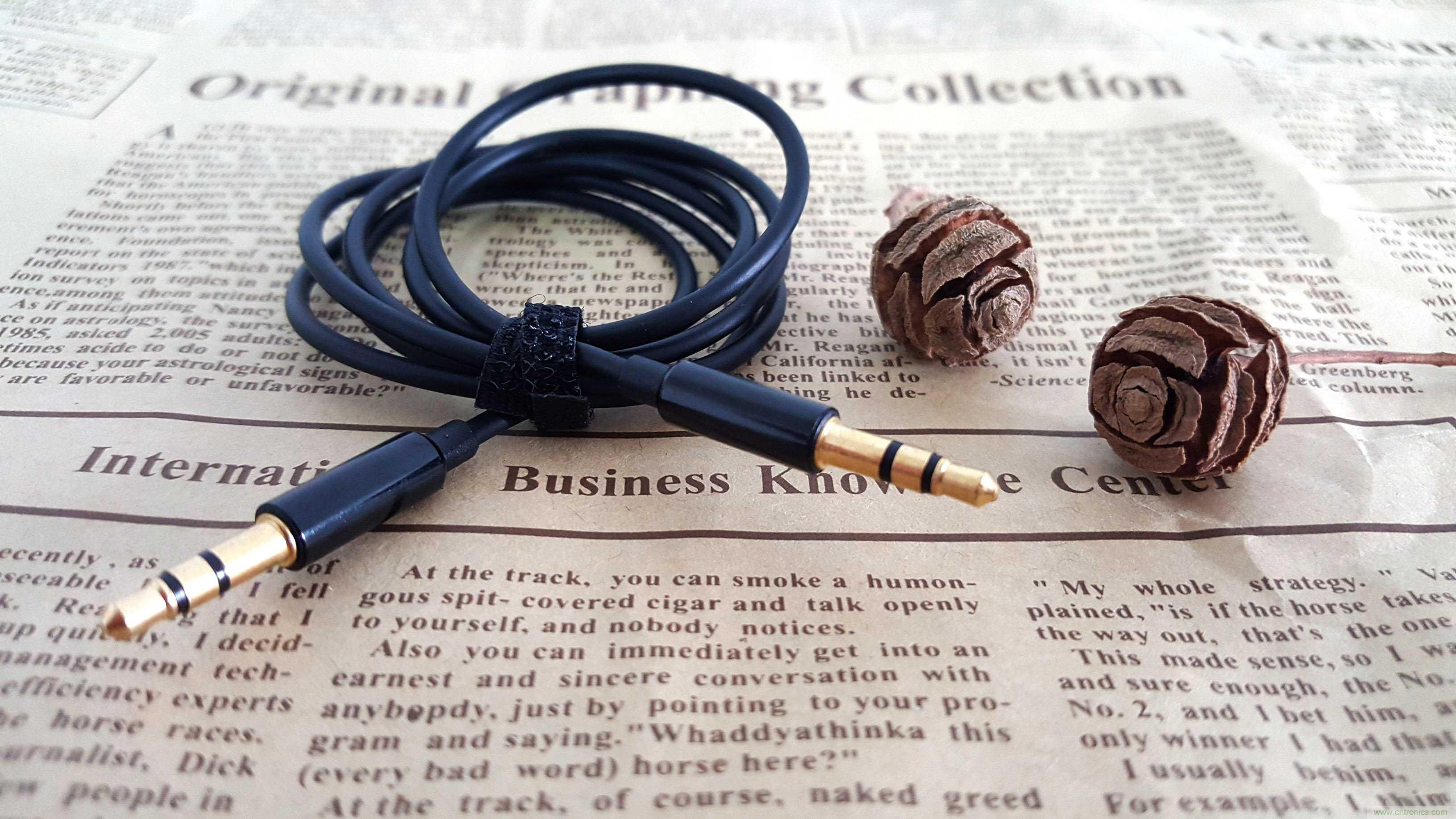 搞怪&ldquo;美人魚&rdquo;盡享靈克藍(lán)牙音箱的天籟之音！