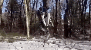 走直線很難嗎？陀螺儀表示，少了它機器人連直線都走不了