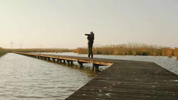 世界濕地日：?？低晹y手一個地球自然基金會，在上海守護這個重要“驛站”